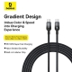 Кабель Baseus Discolor Series Fast Charging Cable USB-C to USB-C 100W 1m Cluster Black