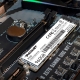 Накопичувач SSD M.2 Patriot P310 960GB NVMe 2280 PCIe 3.0x4 3D NAND TLC