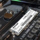 Накопичувач SSD M.2 Patriot P310 240GB NVMe 2280 PCIe 3.0 3D TLC