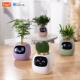 Інтерактивний розумний горщик для рослин Ivy Smart Planter Tuya AI, Purple