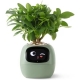 Інтерактивний розумний горщик для рослин Ivy Smart Planter Tuya AI, Green