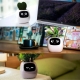 Інтерактивний розумний горщик для рослин Ivy Smart Planter Tuya AI, White