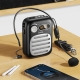 Портативна колонка з гарнітурою HOCO L23 Lemony speaker with wired microphone, 5W, Black