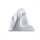 Маніпулятор миша бездротова UGREEN MU008 Multi-mode Vertical Mouse White