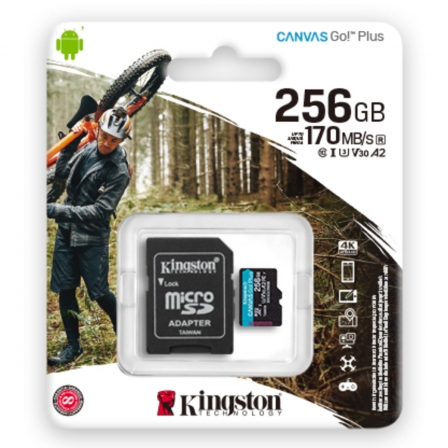 microSDXC (UHS-1 U3) Kingston Canvas Go Plus 256Gb class 10 A2 V30 (R170MB/s, W90MB/s) (adapter SD)