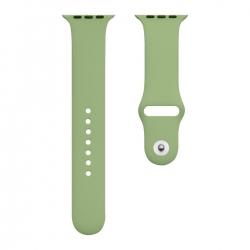 Ремінець для годинника Apple Watch Silicone Classic 38/40/41mm 1.Mint Green