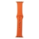 Ремінець для годинника Apple Watch Silicone Classic 38/40/41mm 2.Orange