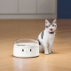 Набір міток CATLINK для Smart Feeder (2 нашийники для кішок і 2 теги UFO) UFO Tag set (2*collar+2*Tag)