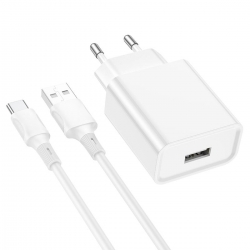 Мережевий зарядний пристрій BOROFONE BA74A Aspirer single port charger set(Type-C) White