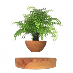 Магнітний левітаційний горщик для рослин HCNT Magnetic Levitating Pot M10-PS Wood Grain